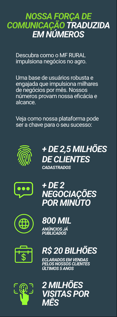 Informativo MF Rural